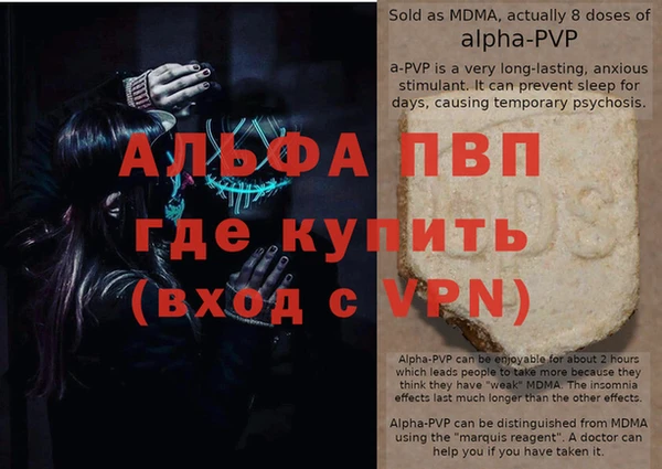 гашик Покачи